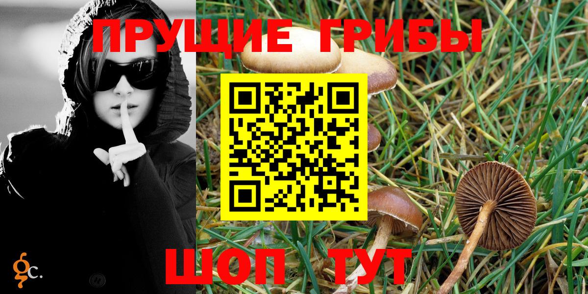 Галлюциногенные грибы MAGIC MUSHROOMS  Вход с VPN  Людиново  Псилоцибиновые грибы GOLDEN TEACHER 
