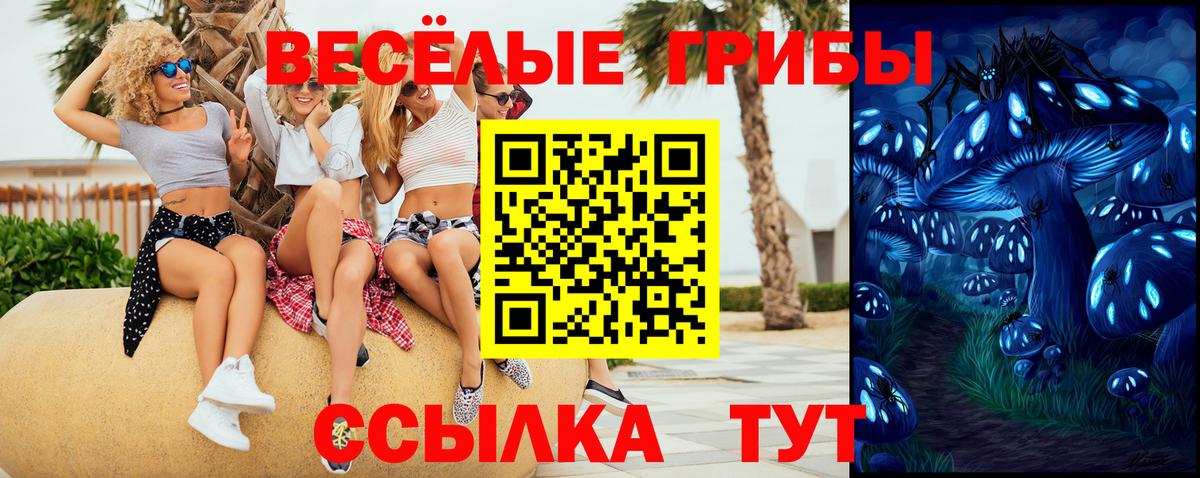 Галлюциногенные грибы Psilocybe Людиново